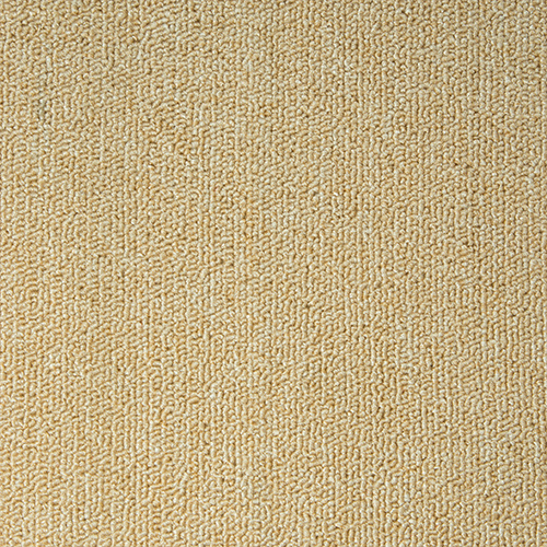 Carpet 02