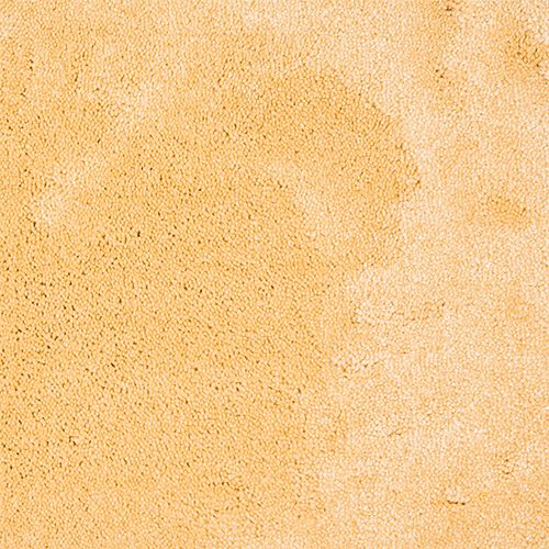 Carpet 07